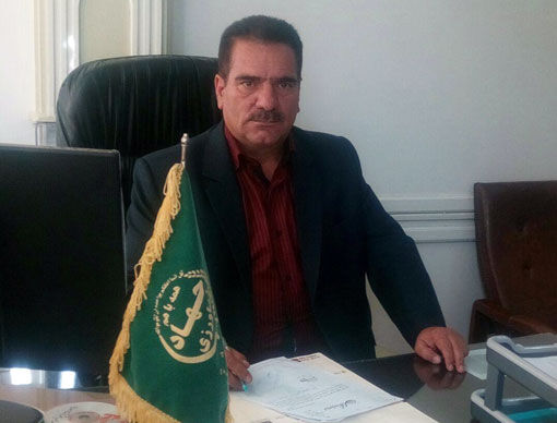 ۸۱ واحد گلخانه ای در سطح ۳۰ هکتار در شهرستان تبریز فعال است