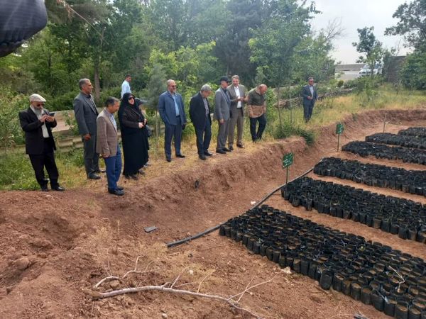 بازدید رئیس سازمان مدیریت و برنامه‌ریزی استان قزوین از نهالستان سبحان