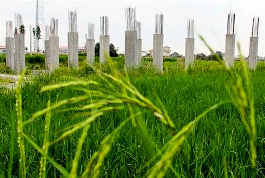 تغییر کاربری غیرمجاز؛ تهدید امنیت غذایی و تشدید نابرابری