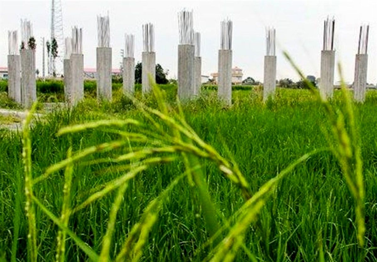 تغییر کاربری غیرمجاز؛ تهدید امنیت غذایی و تشدید نابرابری