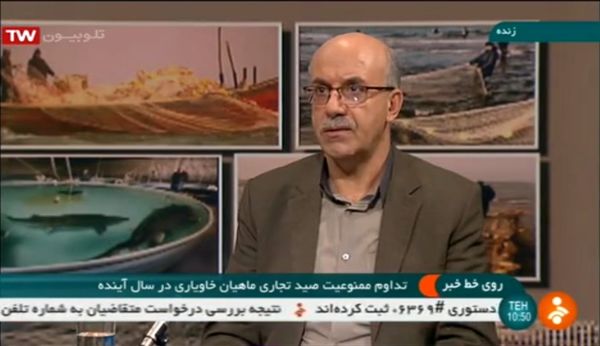 ادامه ممنوعیت صید تجاری ماهیان خاویاری دریای خزر تا پایان سال 2020