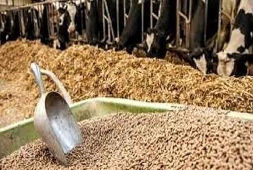 جلوگیری از دریافت سهمیه نهاده‌های دامی توسط دامداران فاقد دام در خراسان شمالی