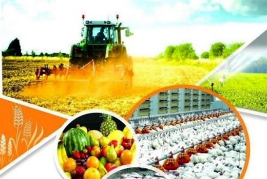 تعاونی‌ها و تشکل‌های کشاورزی در سال 