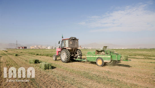 زمینهای زراعی اوقاف