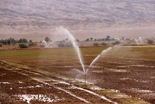 اجرای سیستم‌های نوین آبیاری در یک سوم از اراضی کشاورزی لردگان