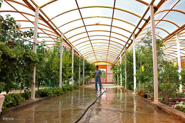 شهرستان سیرجان رتبه دوم سطح زیر کشت گلخانه استان کرمان 