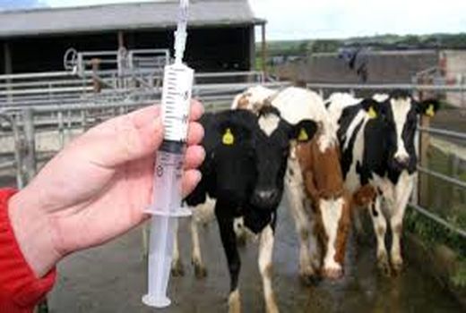 270 قلم داروی دامی در استان سمنان تولید می‌شود