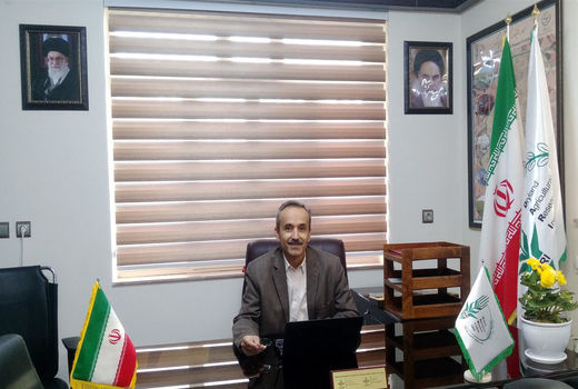 رونمایی از  ۱۵ رقم جدید بذر در سالجاری توسط موسسه تحقیقات دیم کشور در مراغه