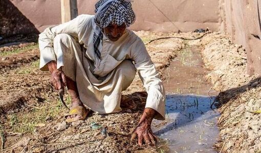 دانش بومی کشاورزان؛ ظرفیتی کلیدی برای مدیریت بحران آب و افزایش تاب‌آوری در خشکسالی
