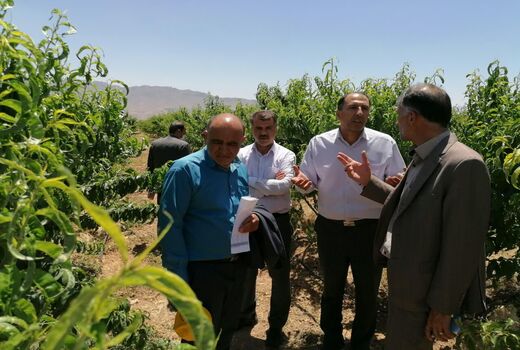 بازدید اعضای ستاد یاوران تولید از ایستگاه تحقیقاتی بادام چهارمحال و بختیاری