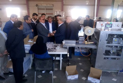 بازدید معاونین وزیر جهاد کشاورزی از طرح بسته بندی پسته صادراتی در شهرستان رفسنجان