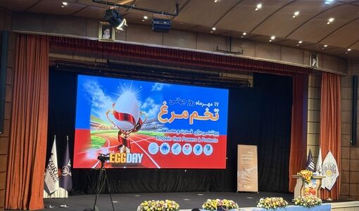 تأکید بر نقش تخم‌مرغ در امنیت غذایی در مراسم روز جهانی تخم‌مرغ