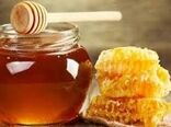 افزایش تولید عسل در استان گیلان