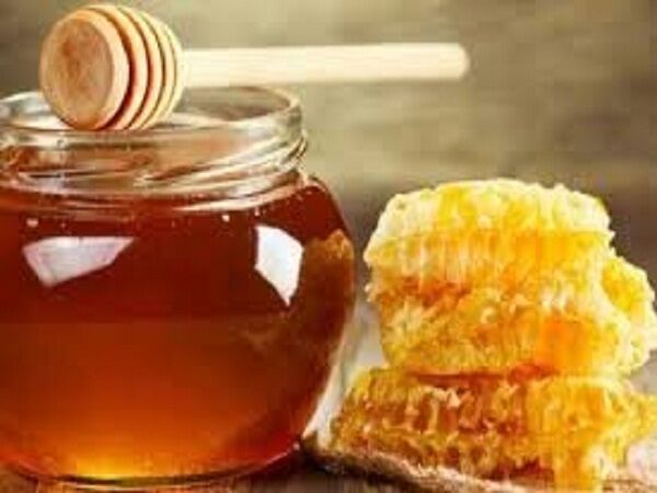 افزایش تولید عسل در استان گیلان
