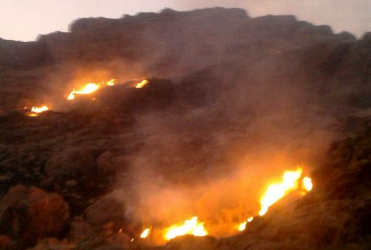 اقدامات سازمان جنگل‌ها برای اطفاء و مهار آتش‌سوزی‌های اخیر جنگل‌ها و مراتع