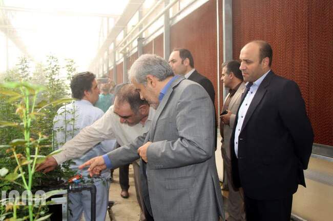 بازدید معاون امور باغبانی وزیر جهاد کشاورزی از پروژه های کشاورزی شهرستان پیشوا