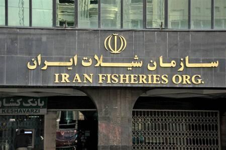 حمایت از حضور شرکت‌های خصوصی ایرانی در کشور موریتانی