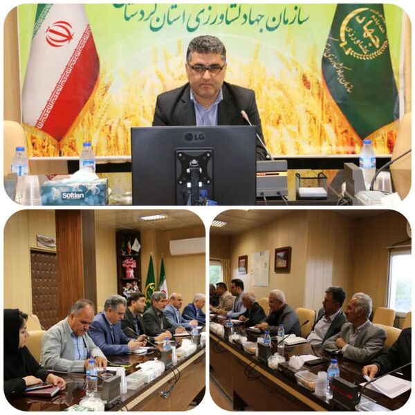 رعایت الگوی مصرف برق توسط کشاورزان در ماه‌های گرم سال 