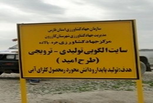 اجرای طرح امید در شهرستان کازرون 