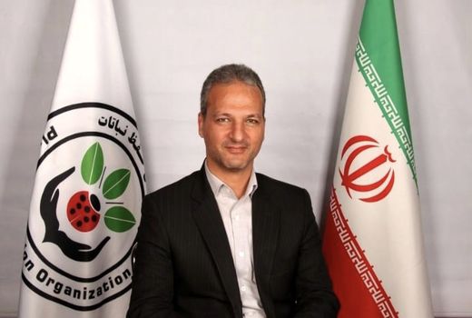 مبارزه با کرم خراط گردو به سادگی امکان پذیر است