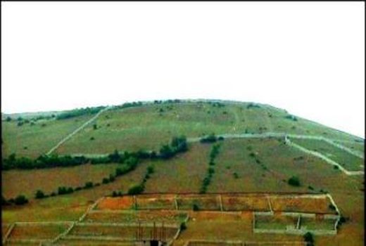 متولی کاداستر اراضی کشاورزی سازمان امور اراضی کشور است