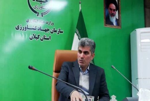 راه‌اندازی سامانه ستکاوا «setkava» درگیلان