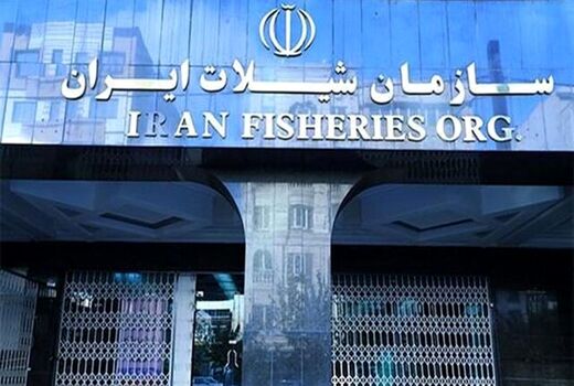 اتحادیه آبزیان: شیلات را قربانی تصمیمات غیرکارشناسی نکنید

