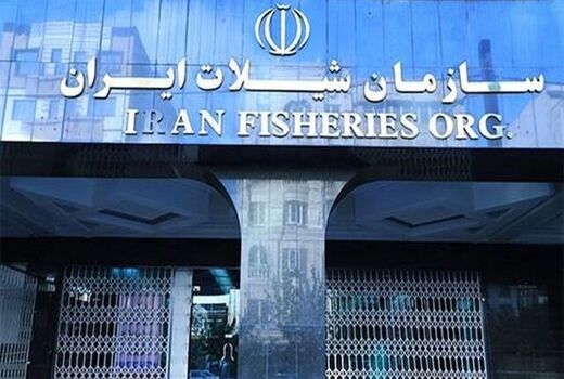 اتحادیه آبزیان: شیلات را قربانی تصمیمات غیرکارشناسی نکنید

