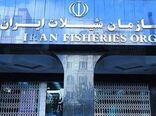 اتحادیه آبزیان: شیلات را قربانی تصمیمات غیرکارشناسی نکنید


