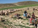 تفاهم  350 میلیاردی با قرارگاه محرومیت زدایی سپاه برای کاهش اثرات خشکسالی در مناطق عشایری 