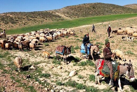 تقدیر جمعی از عشایر سراب باغ شهرستان دهلران از مدیر کل امور عشایر استان ایلام