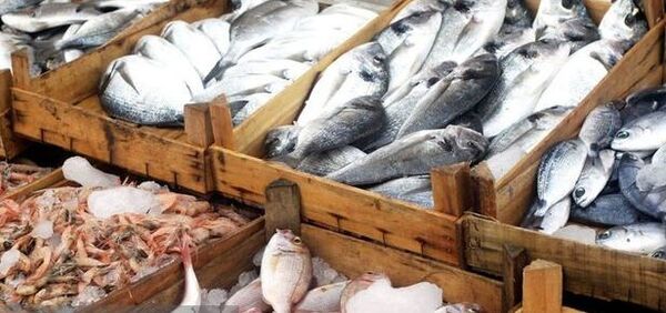 ۱۵ هزار تن آبزیان از بوشهر با نظارت بهداشتی-قرنطینه‌ای صادر شد