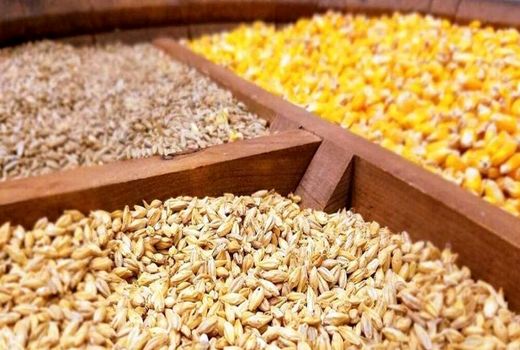 توزیع بیش از  218 هزار تن نهاده دامی در چهارمحال و بختیاری 