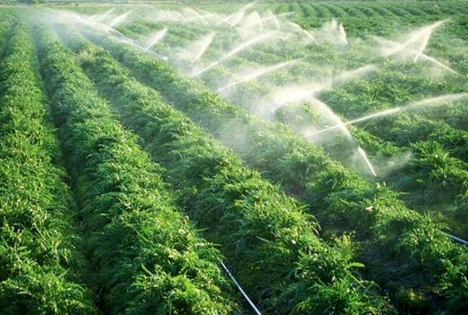 افتتاح 450 هکتار سیستم آبیاری تحت فشار و چهار واحد سردخانه‌ محصولات کشاورزی 