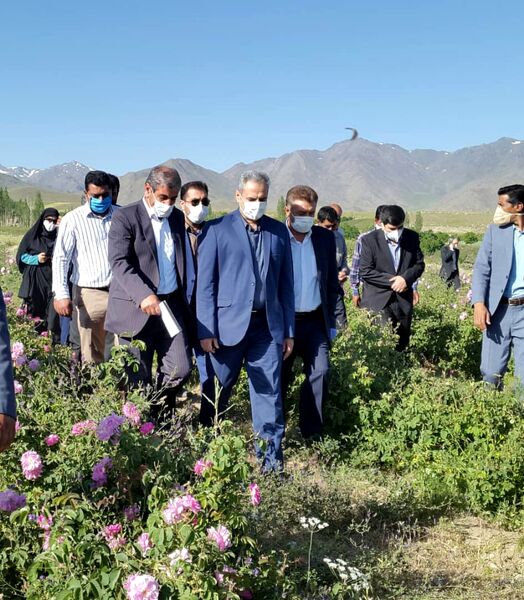 از سرمایه‌گذاران در صنایع تکمیلی حمایت می‌کنیم
