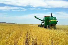 خرید بیش از 34 هزار تن گندم در شادگان