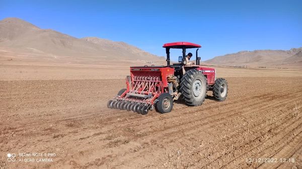 ارائه تسهیلات ۴ درصدی به کشاورزان طرح جهش تولید در دیم زارها