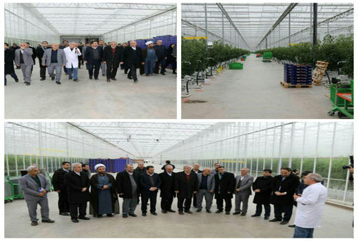 بازدید دبیر شورایعالی مناطق آزاد و ویژه اقتصادی از بزرگترین ومدرن ترین گلخانه شیشه ای خاورمیانه در جلفا