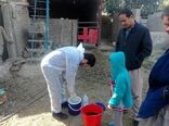 اجرای مرحله سوم واکسیناسیون طیور بومی استان تهران علیه بیماری نیوکاسل