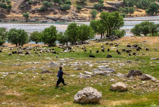 عشایر استان تهران در مناطق کوهستانی و حاشیه رودخانه‌ها اتراق نکنند            