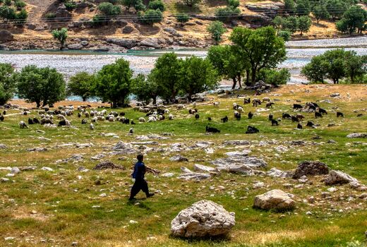 عشایر استان تهران در مناطق کوهستانی و حاشیه رودخانه‌ها اتراق نکنند            