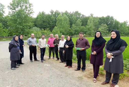 رزمایش مبارزه بیولوژیک زراعت برنج در راستای پدافند غیر عامل
