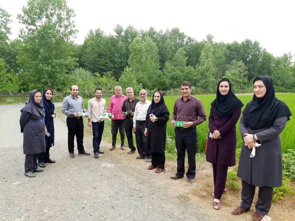 رزمایش مبارزه بیولوژیک زراعت برنج در راستای پدافند غیر عامل
