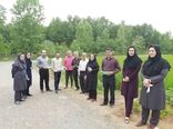 رزمایش مبارزه بیولوژیک زراعت برنج در راستای پدافند غیر عامل
