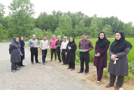 رزمایش مبارزه بیولوژیک زراعت برنج در راستای پدافند غیر عامل
