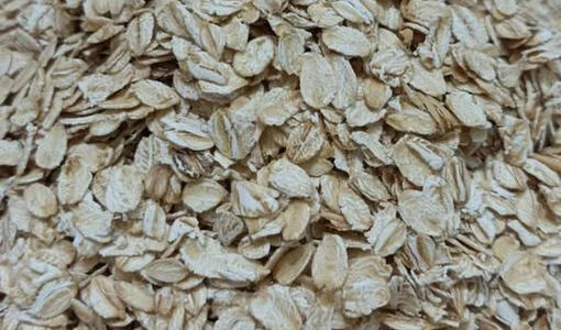 بازگشت جوپرک به چرخه صادرات؛ گام جدید برای توسعه بازارهای کشاورزی و ارزآوری