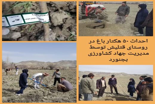 احداث ۵۰ هکتار باغ  توسط مدیریت جهاد کشاورزی بجنورد در بهار ۹۹ از محل اعتبارات سفر مقام معظم رهبری