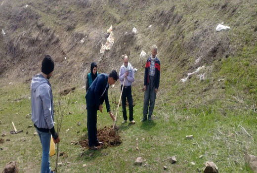 کشت سماق برای اولین بار در شهرستان اهر