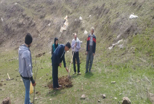 کشت سماق برای اولین بار در شهرستان اهر