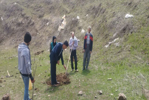 کشت سماق برای اولین بار در شهرستان اهر